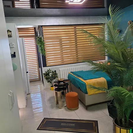 Turquoisestudiouconstanta 公寓 *