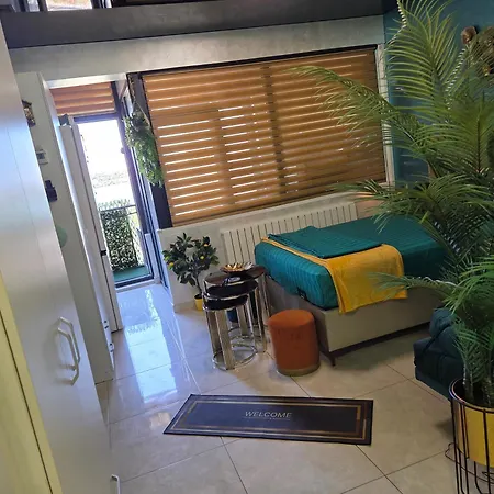 Turquoisestudiouconstanta * 康斯坦察