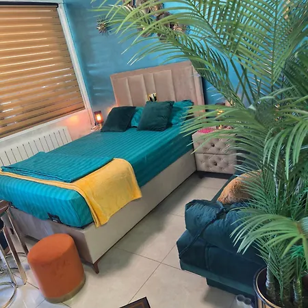 Turquoisestudiouconstanta * 康斯坦察