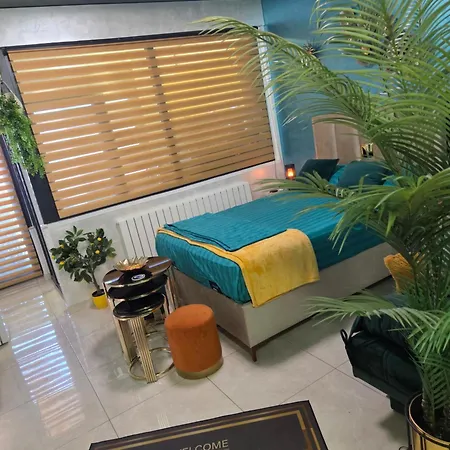 Turquoisestudiouconstanta 公寓